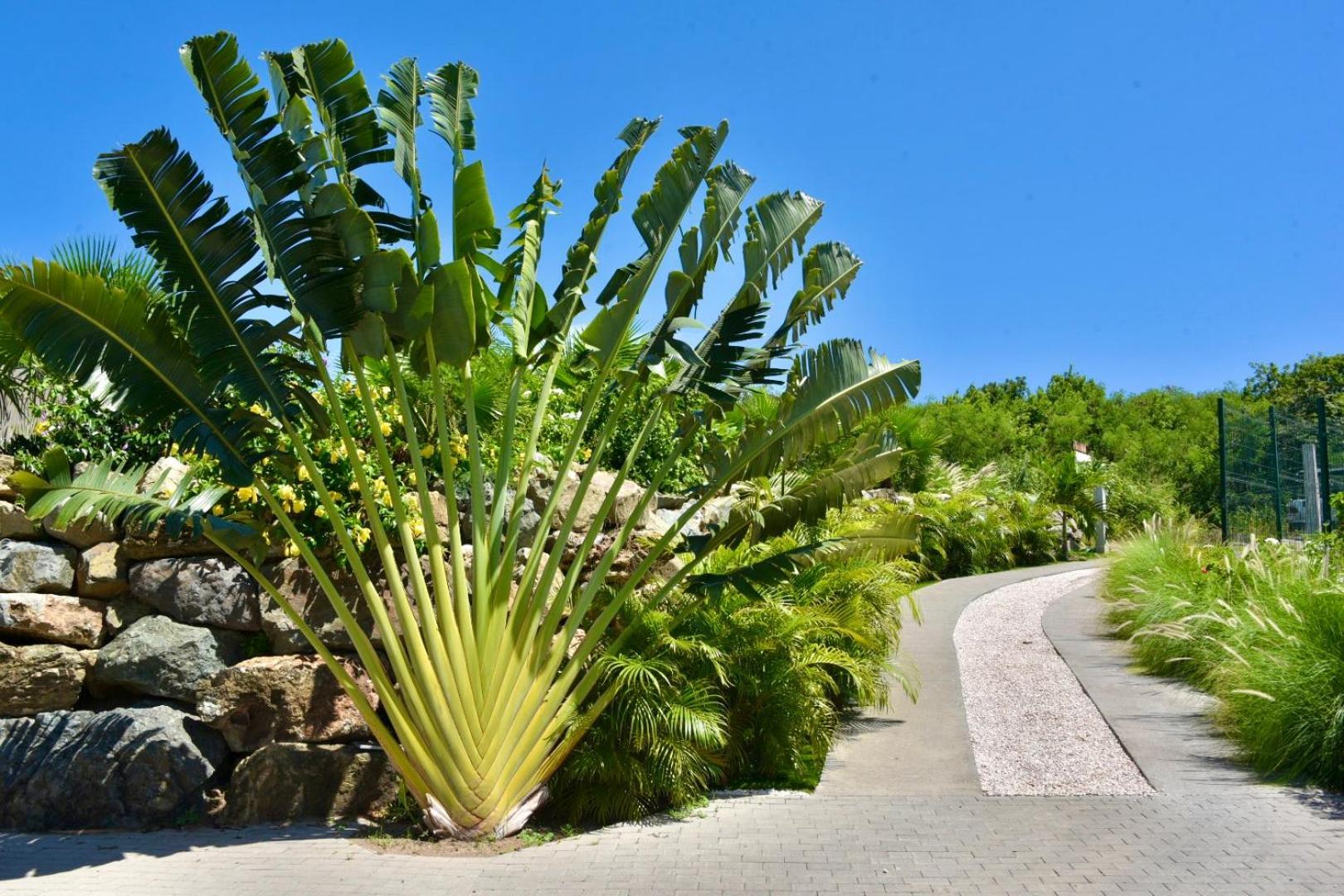 Orient Bay - Amazing Sea View - House 3Bd And 4Bd - Apartment 1 Bd Sea View - 1 Studio View Mountain Quarter of Orleans Exterior photo